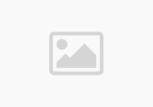 Living Fountain Custom DPP402 Hand Cleaner Pump
