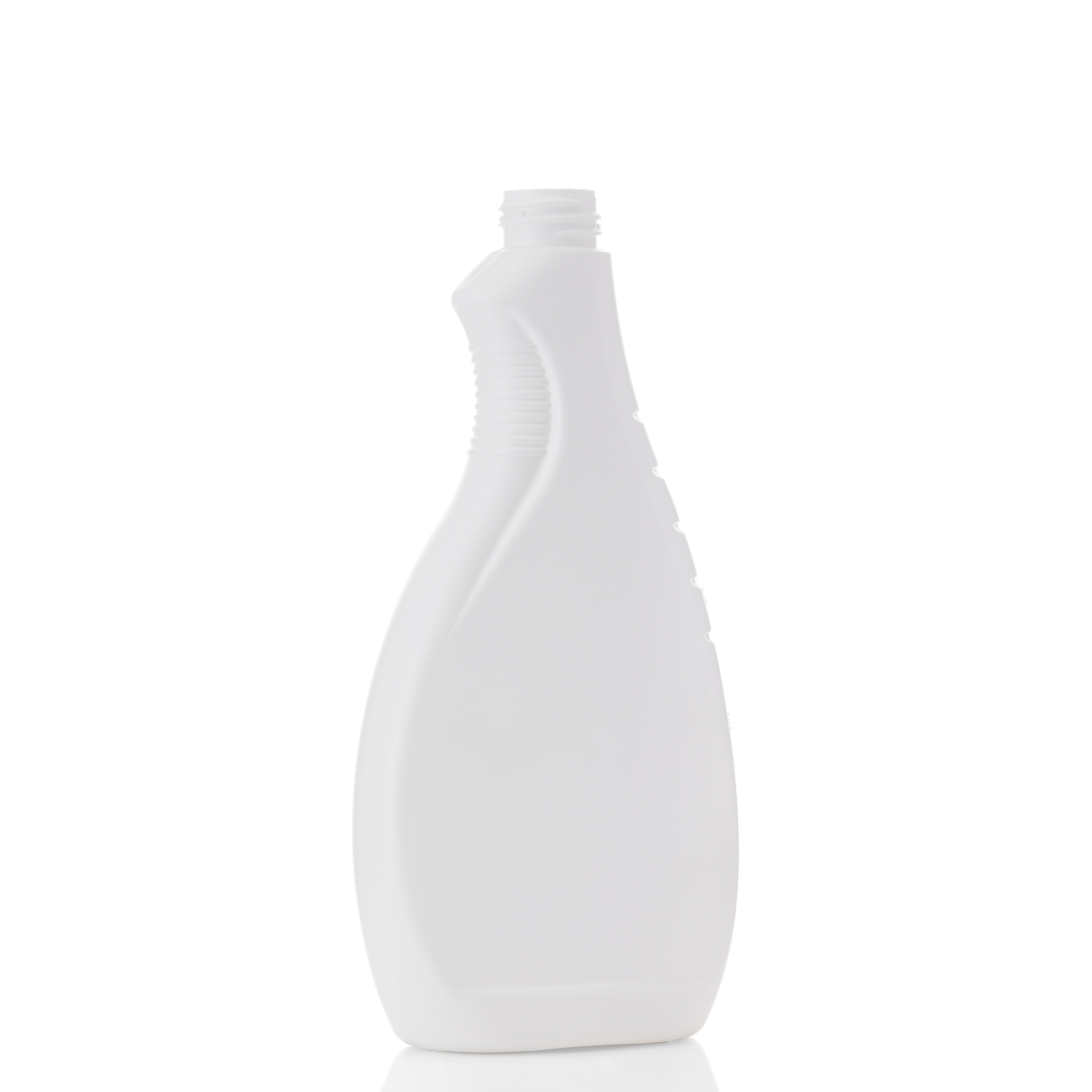 Sanitary Cleaning Bottle