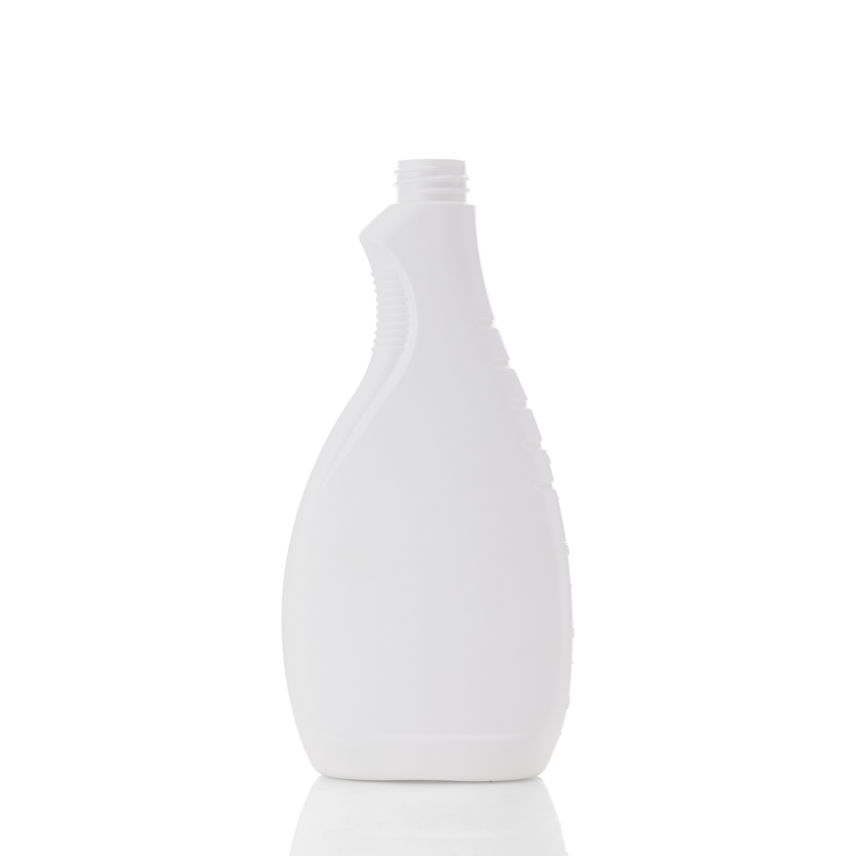 Sanitary Cleaning Bottle